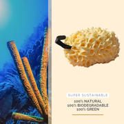 Verzorgingspakket Nile